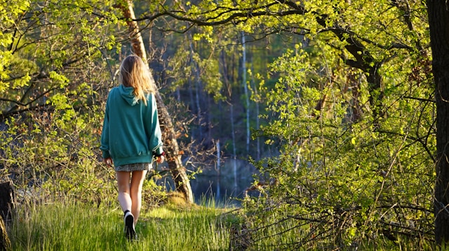 Kontakt Seltrallia